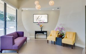 Vestíbulo de pacientes moderno y relajante para odontología del galardonado consultorio dental Parklane Dental en Arcadia